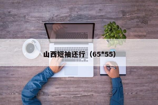 山西短袖还行（65*55）