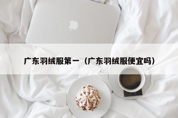 广东羽绒服第一（广东羽绒服便宜吗）