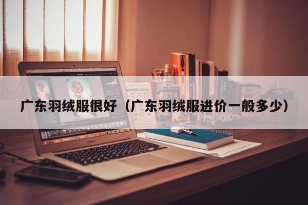 广东羽绒服很好（广东羽绒服进价一般多少）