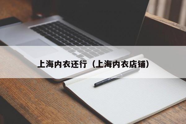 上海内衣还行（上海内衣店铺）