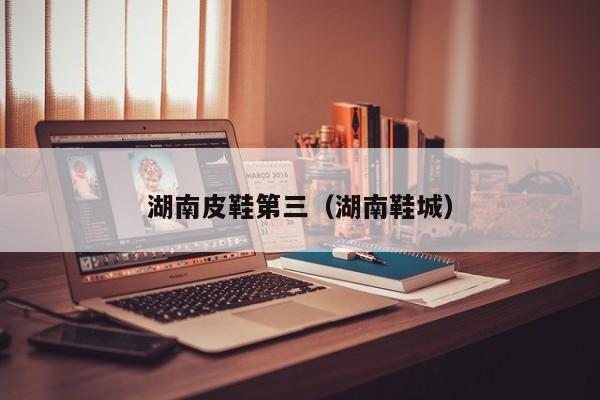 湖南皮鞋第三（湖南鞋城）