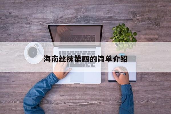 海南丝袜第四的简单介绍