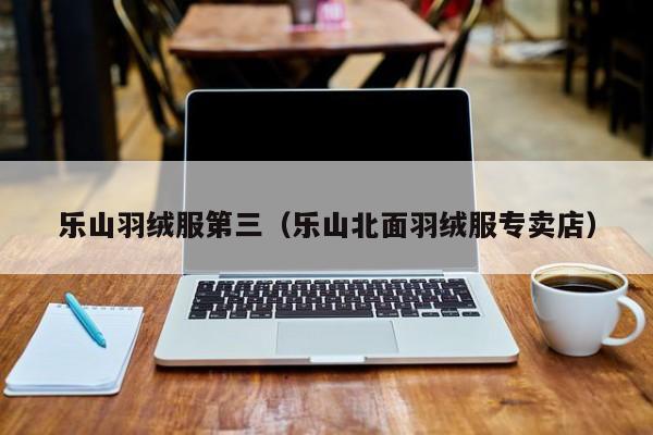 乐山羽绒服第三（乐山北面羽绒服专卖店）