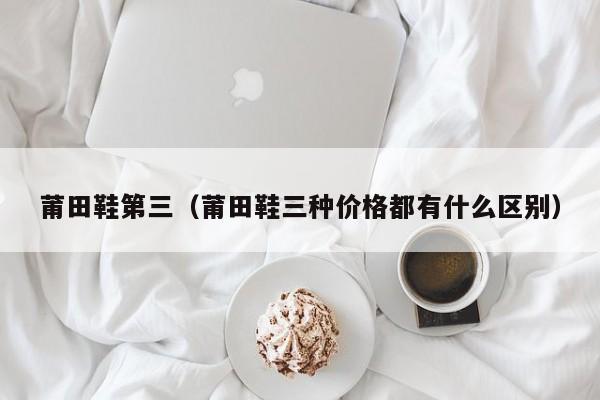 莆田鞋第三（莆田鞋三种价格都有什么区别）