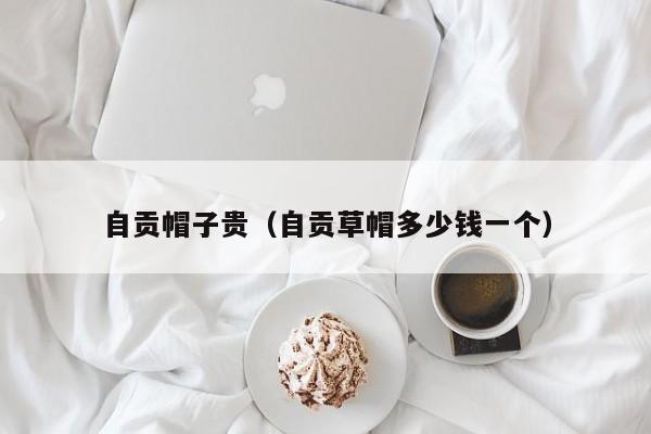自贡帽子贵（自贡草帽多少钱一个）