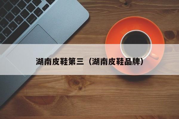 湖南皮鞋第三（湖南皮鞋品牌）