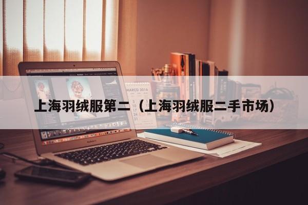 上海羽绒服第二（上海羽绒服二手市场）