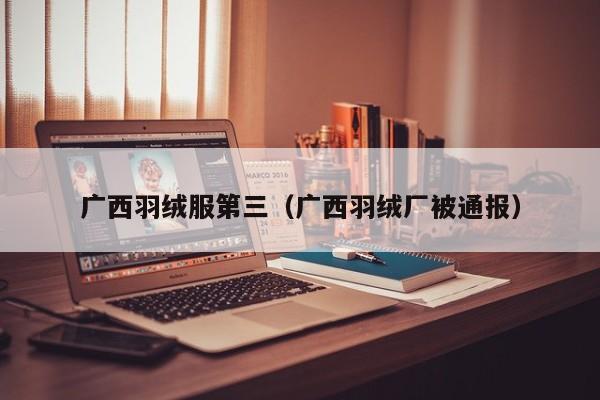 广西羽绒服第三（广西羽绒厂被通报）