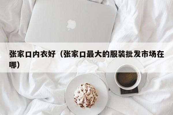 张家口内衣好（张家口最大的服装批发市场在哪）