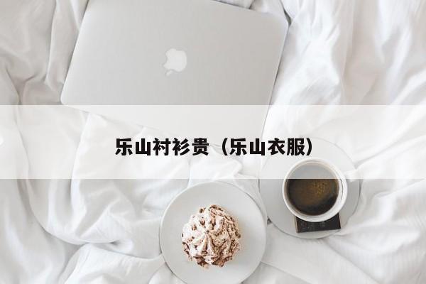 乐山衬衫贵（乐山衣服）