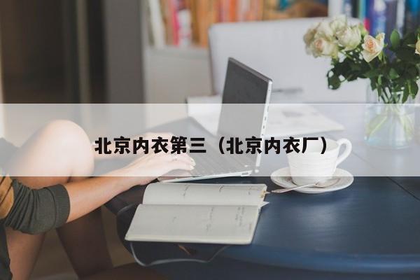 北京内衣第三（北京内衣厂）