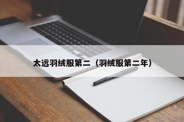 太远羽绒服第二（羽绒服第二年）
