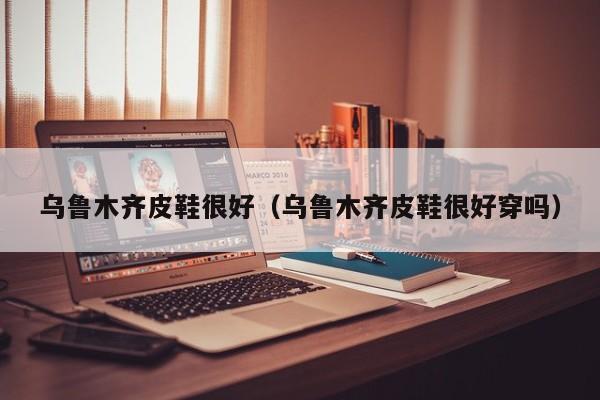 乌鲁木齐皮鞋很好（乌鲁木齐皮鞋很好穿吗）