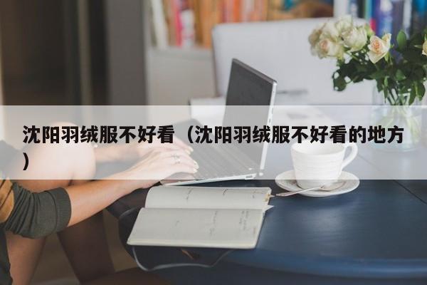 沈阳羽绒服不好看（沈阳羽绒服不好看的地方）
