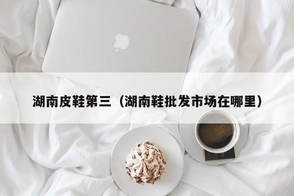 湖南皮鞋第三（湖南鞋批发市场在哪里）