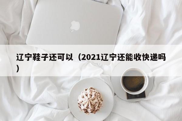 辽宁鞋子还可以（2021辽宁还能收快递吗）