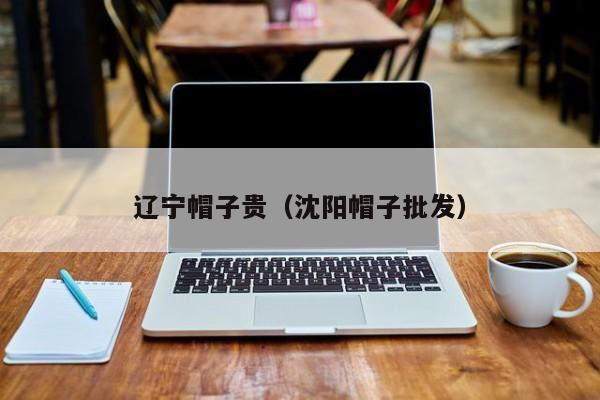 辽宁帽子贵（沈阳帽子批发）