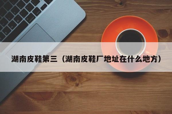 湖南皮鞋第三（湖南皮鞋厂地址在什么地方）