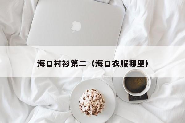 海口衬衫第二（海口衣服哪里）