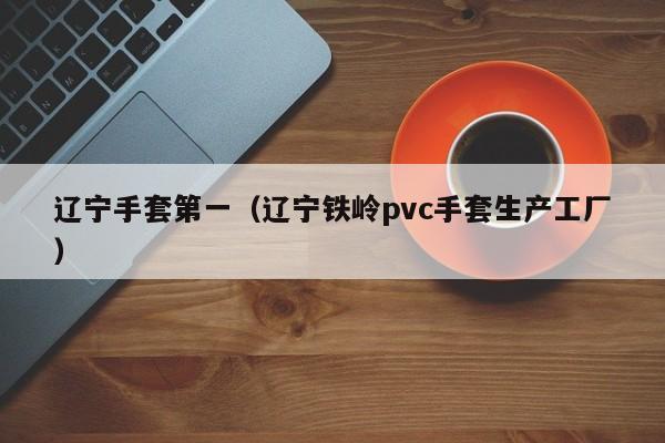 辽宁手套第一（辽宁铁岭pvc手套生产工厂）