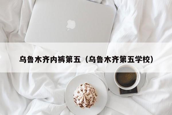 乌鲁木齐内裤第五（乌鲁木齐第五学校）